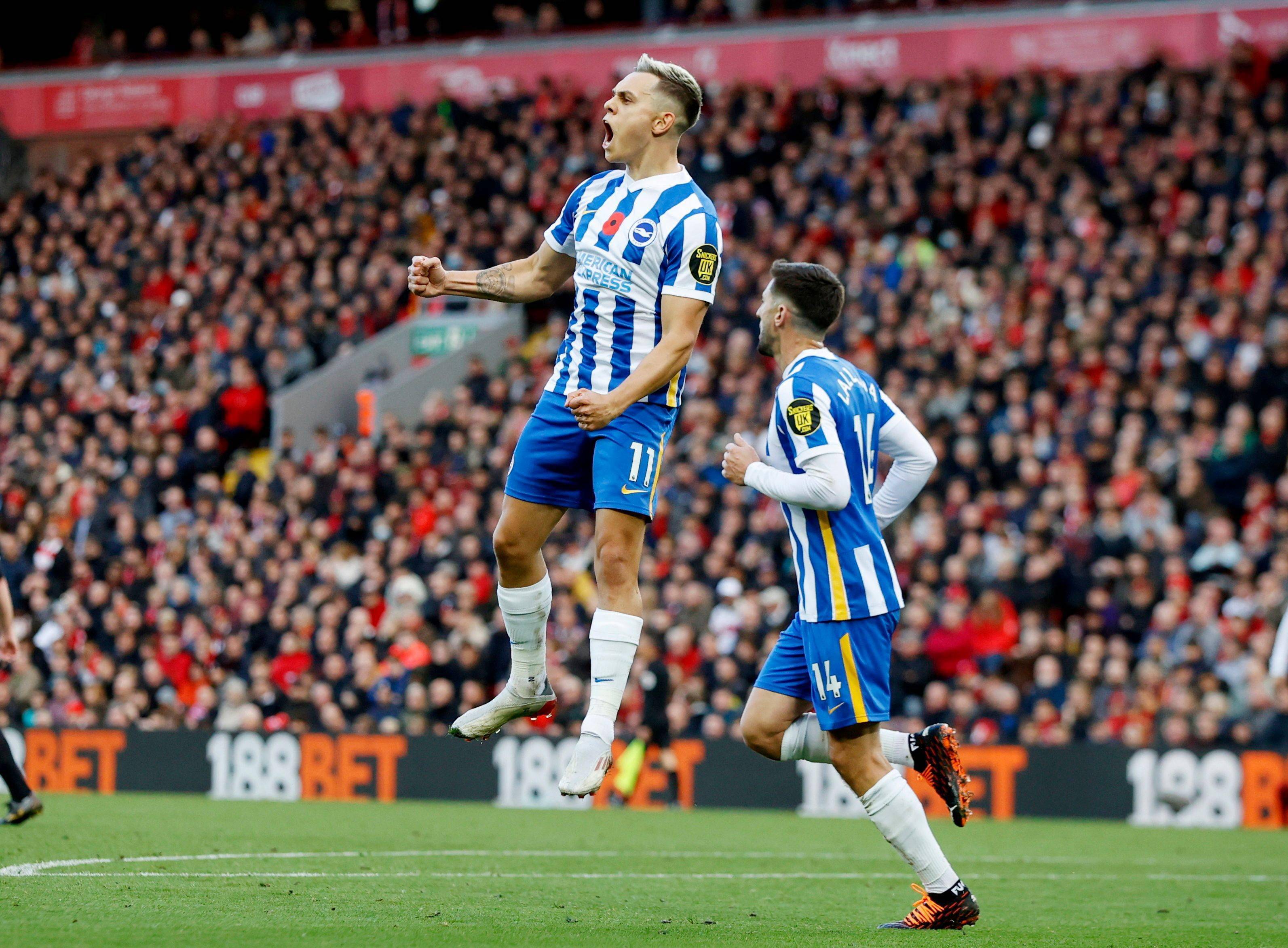 选可谓众望 选可谓众望